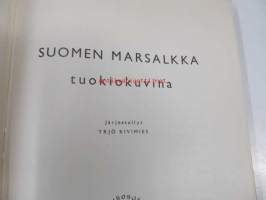 Suomen marsalkka tuokiokuvina