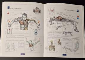 Lihaskuntoharjoittelun anatomia