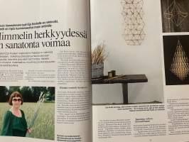 Sielunpeili 2017 nr 8, Aivokasvain, Esko Raine, Tarja Sahari, himmelin herkkyys, Kalevalainen meditaatio