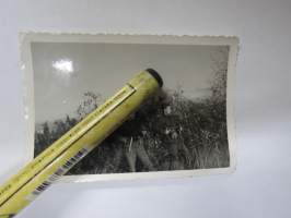 SA "Tikkakosken mannekiinit" -valokuva