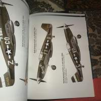 P-51 Mustang: Development of the Long-Range Escort Fighter