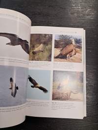 The raptors of Europe and the Middle East : a handbook of field identification