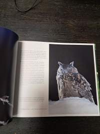 Sata tarinaa luonnosta