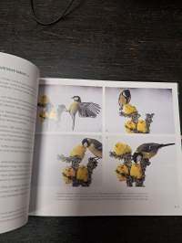 Sata tarinaa luonnosta