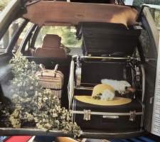 Citroen CX  Break  01/76