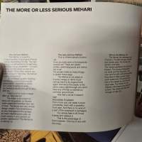 Citroen Mehari  08/ 73