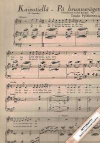 Kaivotiellä Op. 1 No2 - På brunsvägen