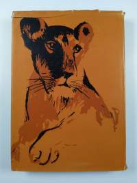 Perheeseemme kuuluu leijona