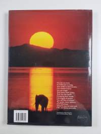 Beneath a Zimbabwe sun