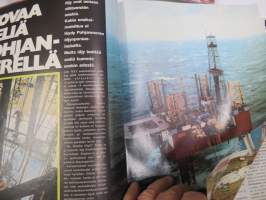 Vip 1972 nr 6, EEc on työmiehen asia, Kuvanveistäjä Kimmo Pyykkö, NHL:n orjakontrahti, silasta varaosat ihmiselle, ym.