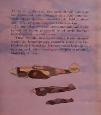 Kun taivas oli helvetti.  ( Sotahistoria, ilmasota, suomaliset hävittäjälentäjät, sotailmailu)