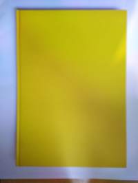 Esbo IF 1916-2016 100 år Resultatbok