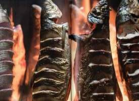 Eränkävijät : Metsästys- ja kalastustarinoita Suomesta