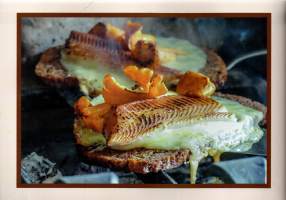 Kalahullun päiväkirja : Kalasta reseptejä