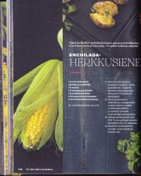 Suuri grillauskirja, 2020. KAIKKI grillauksesta!