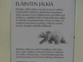 Eläinten jälkiä