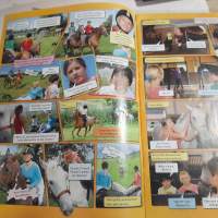 Green Hillsin tallitytöt  Prinssi