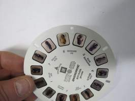 View-Master / GM Overdrive 2003 Models -reel / kuvakiekko