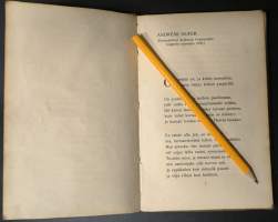 Taistelujen mainingeissa