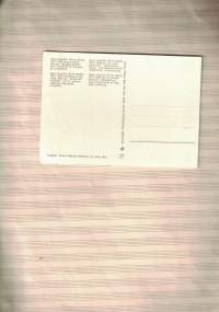 Circus BUCH / Houdini