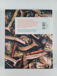 Sieniä &amp; ihmisiä