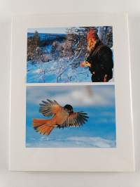 Winter on the Finnish taiga