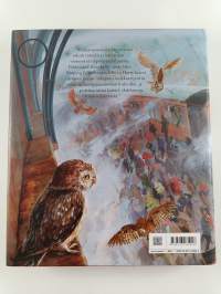 Harry Potter ja viisasten kivi (kuvitettu)