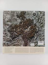 Maailman kaunein saaristo