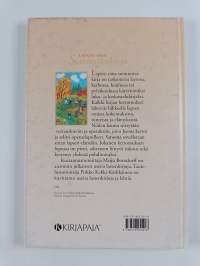 Lapsen oma sunnuntaikirja