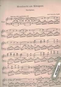 Månskensnatt på sjön.