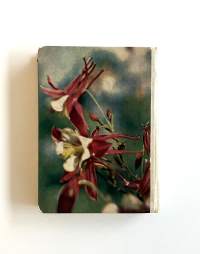 Ystävieni syntymäpävät