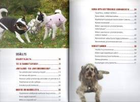 Onnistu koirasi koulutuksessa - Tommyn kannustava koulutusopas