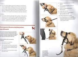 Onnistu koirasi koulutuksessa - Tommyn kannustava koulutusopas