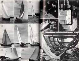 Myrskylintu nousee siivilleen  -Perinteisen puupurren rakentaminen ja ensimmäinen kaukopurjehdus