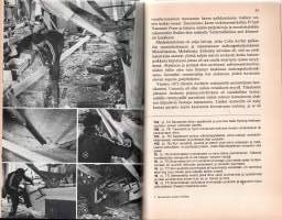 Myrskylintu nousee siivilleen  -Perinteisen puupurren rakentaminen ja ensimmäinen kaukopurjehdus