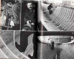 Myrskylintu nousee siivilleen  -Perinteisen puupurren rakentaminen ja ensimmäinen kaukopurjehdus