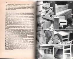 Myrskylintu nousee siivilleen  -Perinteisen puupurren rakentaminen ja ensimmäinen kaukopurjehdus