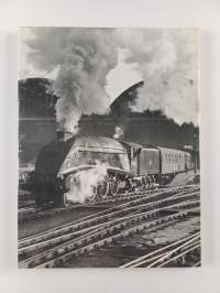 Indian Summer of Steam