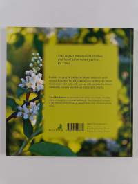 Suojaavan kätesi alla