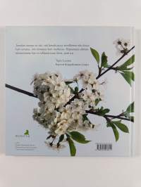 Iloa ja siunausta sinulle