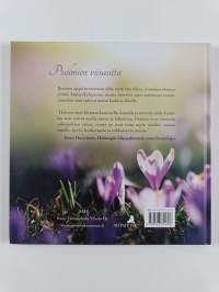 Jumalan katseen suojassa