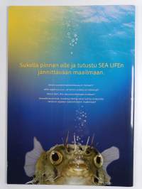 Pinnan alla : Sukella maailmaamme