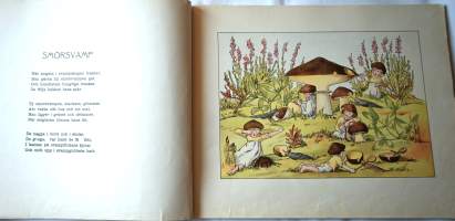 Småttingarnas svampbok