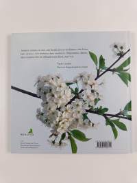 Iloa ja siunausta sinulle