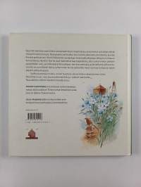 Paanutonttu ja Tarinakivet