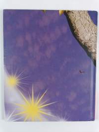 Aarrejahti meressä! : Jännityskertomus vedenalaisesta elämästä!