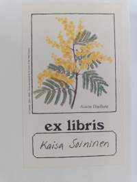 Maailma lapsen silmin : mitä lapsi näkee, kokee ja tuntee