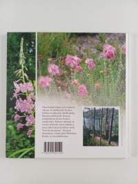 Sanan ja virvoituksen lähteille 2