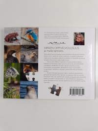 Hirven oppivelvollisuus ja muita tarinoita