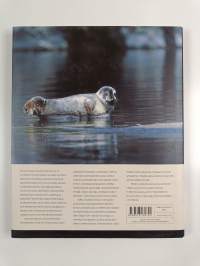 Hyle : Saimaan oma norppa